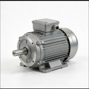 Motor Eléctrico Trifásico de Repuesto